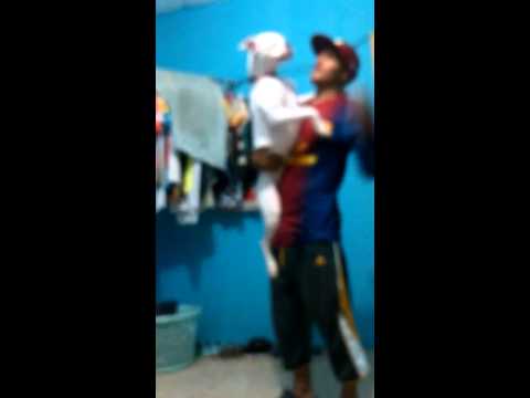 Perro boxer blanco albina Mi campeona Georgina