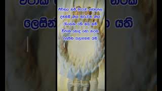 Download lagu නිවන් දකින්න කාලය පැමිණ ඇත. #love #nature #flowers mp3 Download lagu නිවන් දකින්න කාලය පැමිණ ඇත. #love #nature #flowers mp3