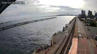 本牧海づり施設 live webcam