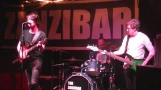 Psychedelic Sex Cats - The House That Heaven Built (Japandroids)