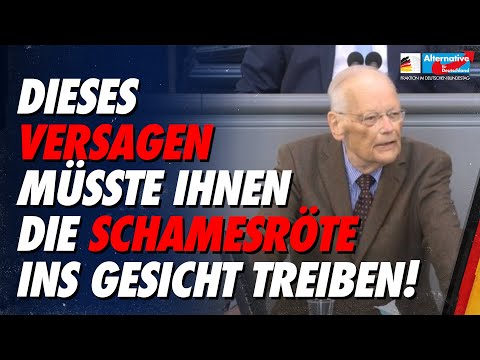 Dieses Versagen müsste Ihnen die Schamesröte ins Gesicht treiben! - Prof. Axel Gehrke - AfD-Fraktion