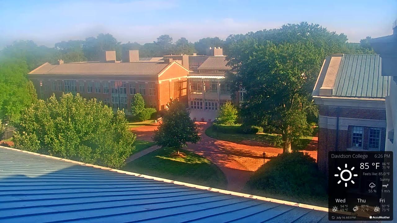 Live webcam view of Davidson College Cat Cam