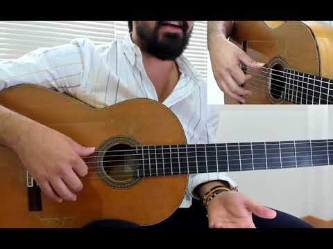 🎸   Flamenco Guitar Course Level 1/7 - Lesson 1 - Rasgueo explained