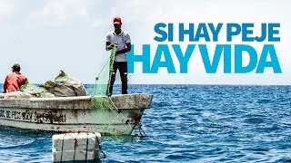 Si hay peje, hay vida