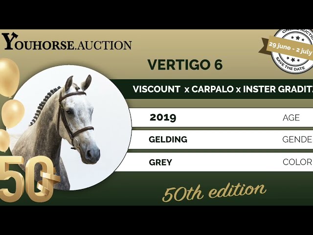 Vertigo trainingsvideo