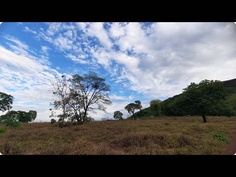 Serra de Jaraguá Goiás 🌄 Passeio após a chuva à procura do Pequi 😂