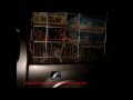 Anti Dog Meat Trade 
