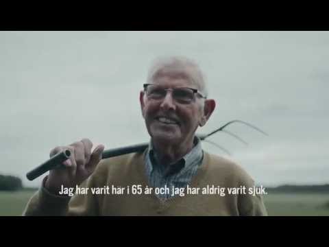 Hur man förbättrar smaken på en hundraårig morotssort | Knorr Sverige