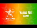 The Wailing Souls - Budwah (Official Audio) | Jet Star Music