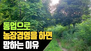 동업으로 농장경영을 하면 망하는 경우 | 나무대장