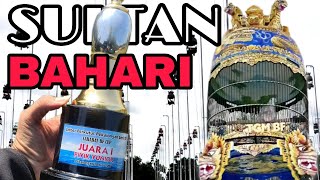 Download lagu SULTAN BAHARI PERKUTUT JUARA 1 RING TGM BIRD FARM... mp3