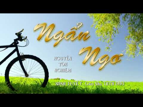 Ngẩn ngơ - Minh Tuyết
