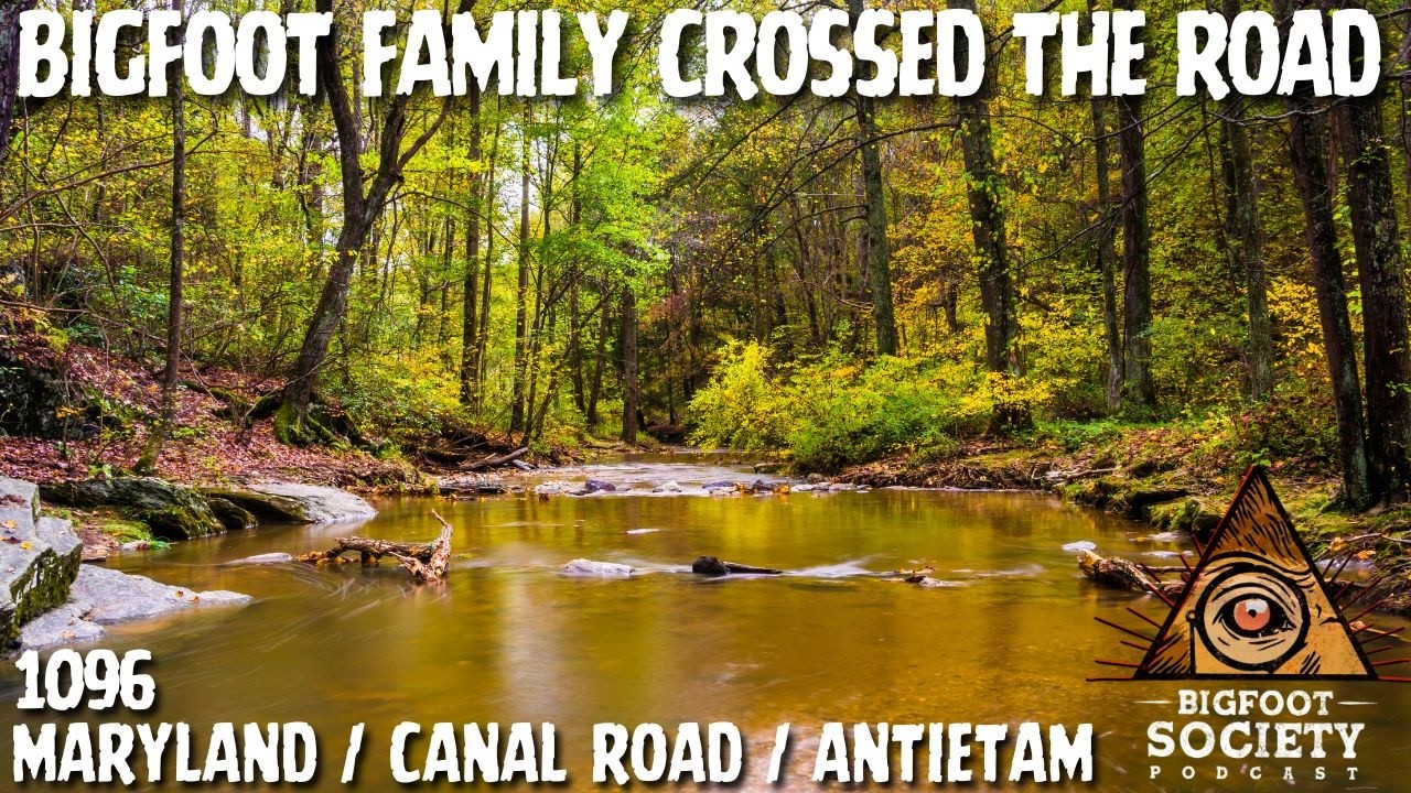 Maryland Bigfoot Family Crosses the Road at Midnight | Doris’ Wild Encounters