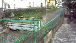 preview picture of video 'scafati il fiume SARNO durante una piena'