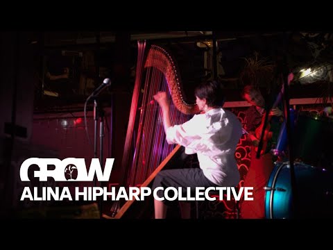 Los Caballos - AlinaHipHarp Collective Led by Alina Bzhezhinska