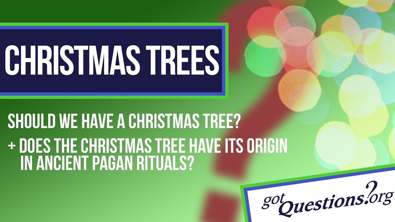 Should we have a Christmas tree?