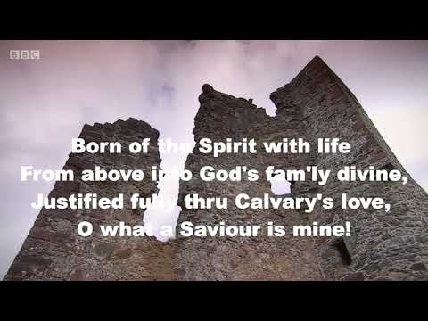 Heaven Came Down and Glory Filled my Soul