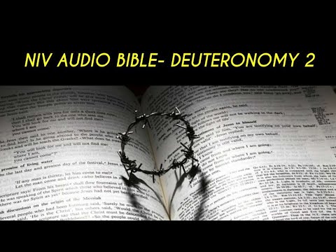 DEUTERONOMY 2 NIV AUDIO BIBLE (with text)