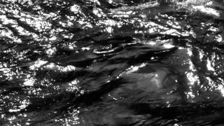 KANGDING RAY - dark barker