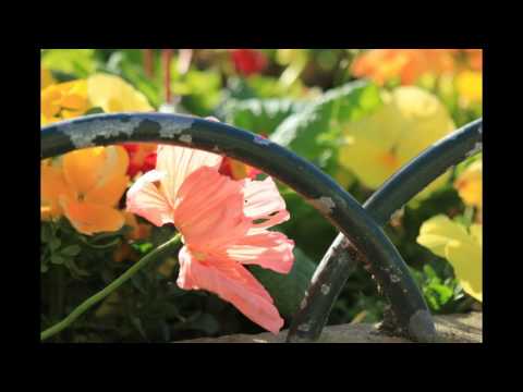 Ny Anaranao _ Nanie _ Gasy