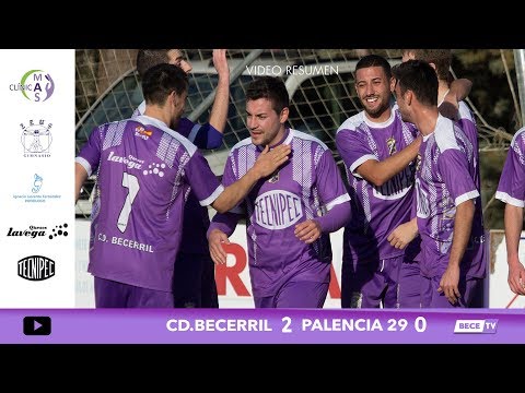 Resumen CD.Becerril 2 - Palencia 29 0