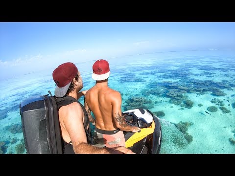 YBS Lifestyle Ep 39 - BEST CONDITIONS EVER | Friendly Kangaroo | Squid Catch And Cook
