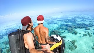 YBS Lifestyle Ep 39 - BEST CONDITIONS EVER | Friendly Kangaroo | Squid Catch And Cook