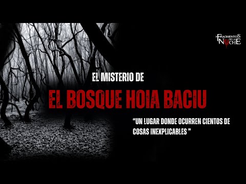 El misterioso bosque Hoia Baciu | Fragmentos de la Noche