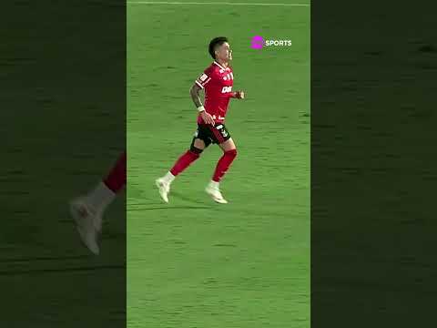 ATRAVESSOU O CAMPO! LUIZ ARAÚJO FEZ O GOL E CORREU O CAMPO INTEIRO PRA COMEMORAR COM A NAÇÃO #shorts