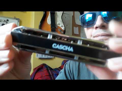 Unboxing Cascha  Chromatic 10-40 Blues Harmonica, First Test, From Muziker