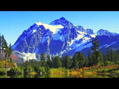 Joseph Haydn-Cello Concerto nº1-Anner Bylsma