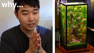 this fish tank was SO CLOSE to GREATNESS | Fish Tank Review 342