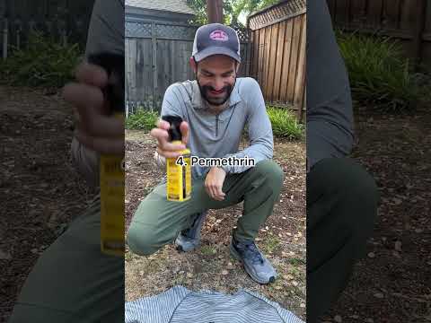 It's tick season! This is how we avoid and deal with ticks on trail.