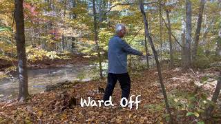 4 Energies Tai Chi