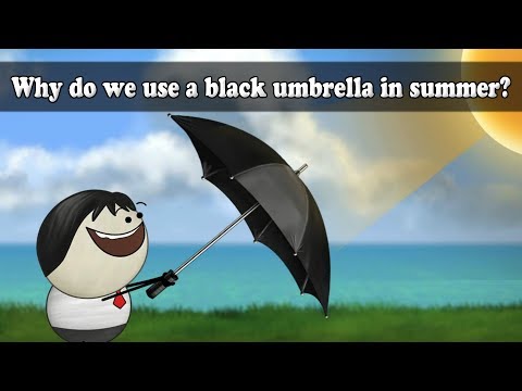 夏天為什麼要用黑傘？｜#aumsum (Why do we use a black umbrella in summer? | #aumsum)