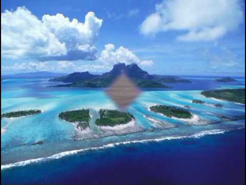 DADDY SPIEWA  SZCZEPANIKA  - ZOLTE KALENDARZE