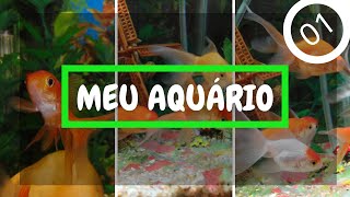 MEU AQUÁRIO | A Jornada de Uma Vida #01
