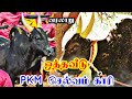 PKM செல்லம் ஒத்தவீடு பேய் காரி History Of Pkm Kari