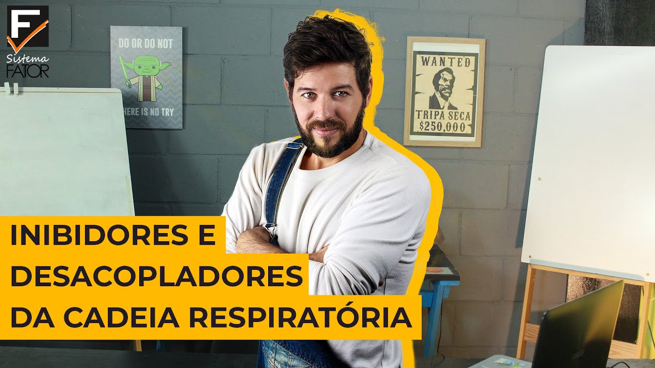 Inibidores e desacopladores da cadeia respiratória - o que é isso?