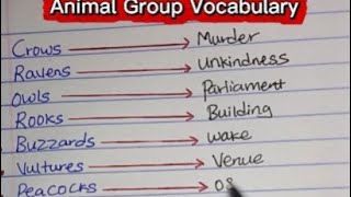 Master English Fast: Animal Groups, Verb Evolution, Question Words & more 📚✅