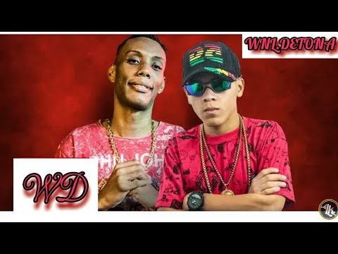 MC Novin e MC GW -  To na Vibe  (DJ Thiago Mendes)