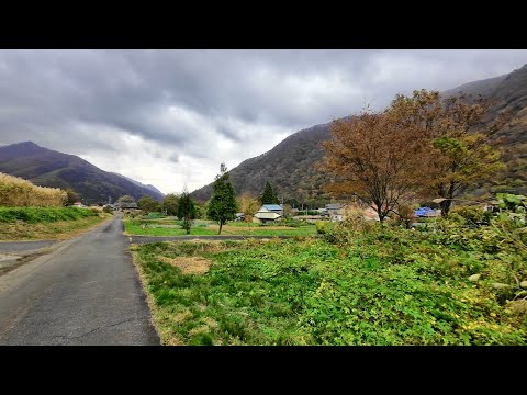 folhas de outono de 4K HDR no distrito de Oana