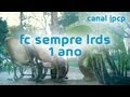 FC Sempre LRDS - 1 ano