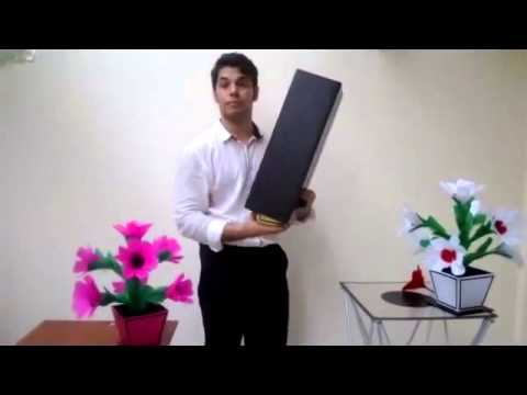 Tora Colorful Flower Vases from Tube @dynamitemagicshop