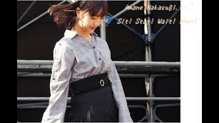 中杉天音 ”Sit! Stay! Wait! Down!＊安室奈美恵” 2017.11.23 名古屋城