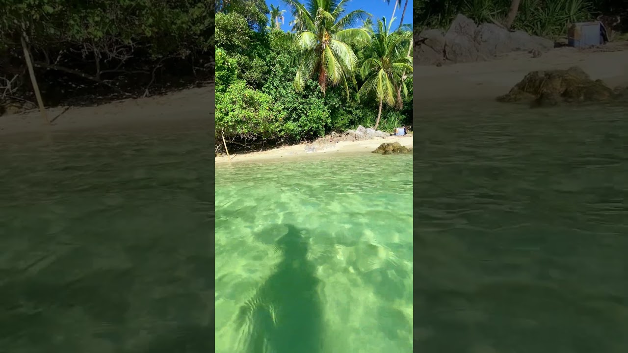 YouTube Short thumbnail