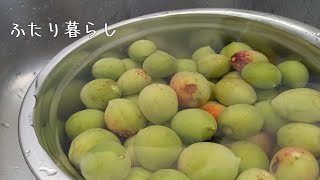 【生活音】オーストラリアで青梅の甘酢漬けを作ってみた【ほのぼの】