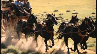 Babe Ruth Wells Fargo (Single Version).wmv