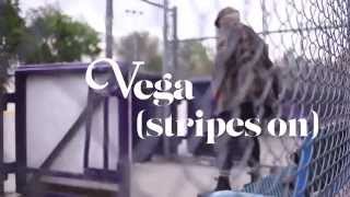 Vega (stripes on)