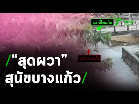 คลิกเพื่อดูคลิปวิดีโอ